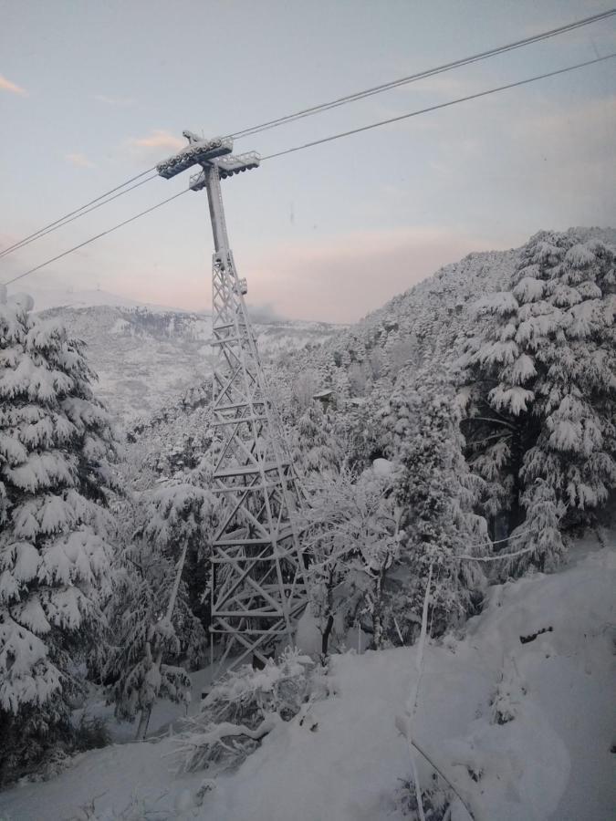 Hotel Green Orchid Udhampur מראה חיצוני תמונה