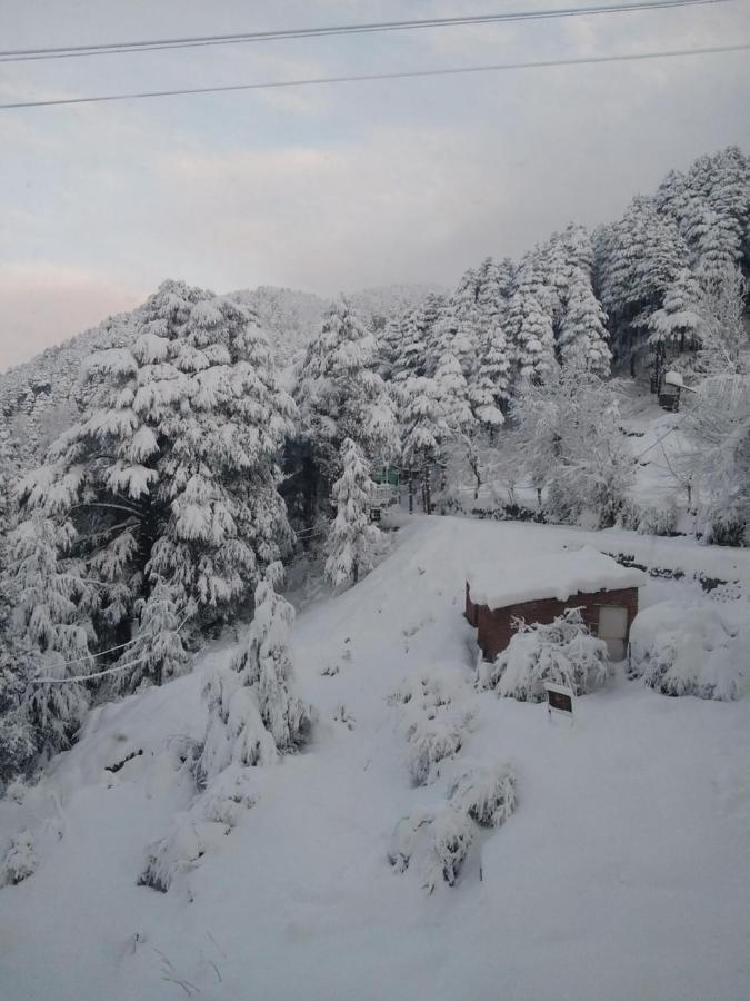 Hotel Green Orchid Udhampur מראה חיצוני תמונה